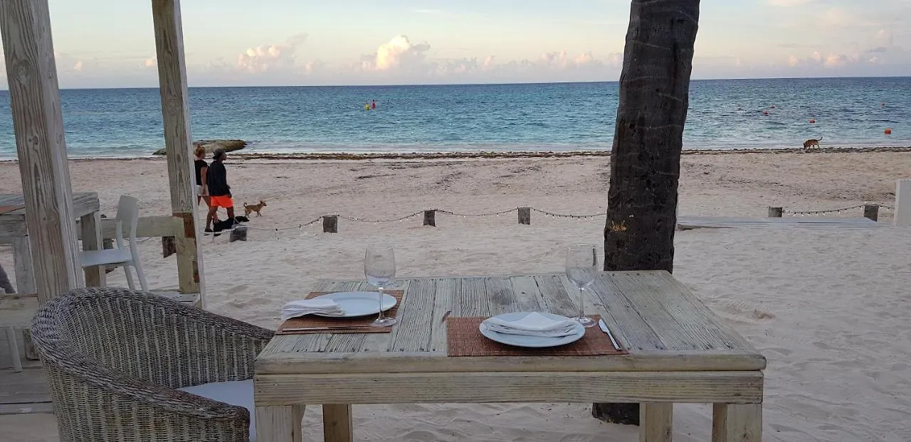Villa Mare Punta Cana